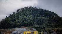 Hanoi to inspect violations in forest use