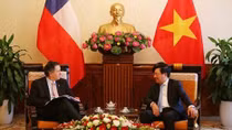 Vietnam sees Chile as leading Latin-American partner: Deputy PM