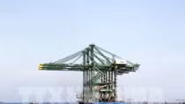 Three made-in-Vietnam giant cranes shipped to India