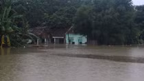 At least seven die, go missing due to storm Bebinca