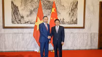 Vietnam and China promote ties in crime prevention and fight