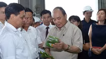 PM urges Vinh Bao to soon become new-style rural district 