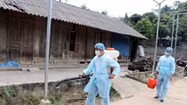 20 localities hit by African swine fever after Lai Chau outbreak