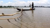 Mekong Delta in flood season