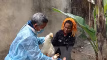 Another case of bird flu reported in Vietnam