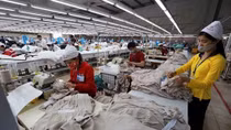 Proactive measures taken to promote export to CPTPP markets