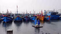 Kien Giang announces list of violating fishing vessels