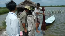 Over US$74 mln for vocational training for rural labourers