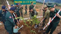 Friendship trees planted at VN-Laos-Cambodia border T-junction