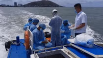 Sailors infected with COVID-19 aboard Indonesian vessel off southern coast
