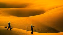 Most captivating sand dunes in Vietnam