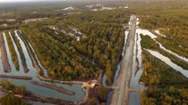 Vietnam struggles to preserve biodiversity