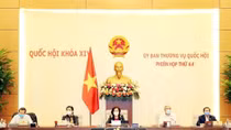 PPP projects must have investment of more than 4.4 million USD: NA deputies