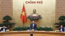 Meeting reviews performance of Party resolution on social policies