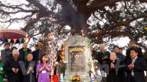 Conference promotes heritage tree preservation