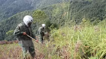 Steering Committee on UXO, toxic chemical consequences established