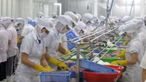Occupancy rate of industrial parks reaches 73 percent