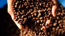 Exports of Vietnamese coffee to double by 2030