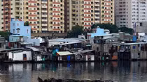 People’s Committees can sue polluters
