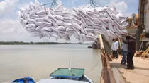 Agro-forestry-fishery export picks up 9.1 percent in 11 months