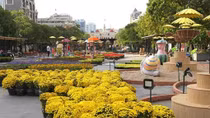 Book street festival, flower street open in HCM City