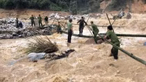 Public Security Forces asked to take initiative in responding to Storm No. 12