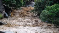 Two dead, one missing due to floods in Hoang Lien forests 
