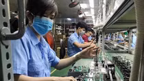 Over 12,000 businesses set up in October