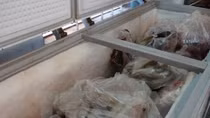 Ministry tightens food safety, hygiene controls