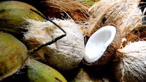 Coconut candy - the edible chewing gum
