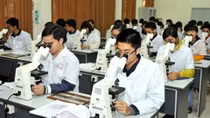 Education sector and comprehensive reform efforts