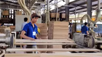 Furniture and forest exports face cloudy future