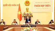 Top legislator chairs National Election Council’s 4th sitting