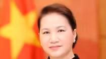 Parliamentary cooperation a new pulse for Vietnam – Russia ties: ambassador