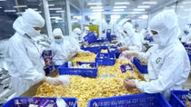 Vietnam boasts many advantageous exports to Romania: Ministry