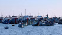 Phu Yen fishermen urged to maintain fishing activities