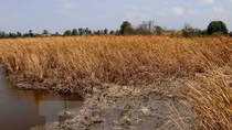 Experts seek solutions to water resources exhaustion
