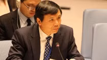 Vietnam calls for protection of civilians in COVID-hit countries with conflicts