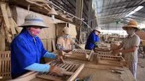 Vietnam’s wood exports to EU likely to reach 1 billion USD thanks to EVFTA