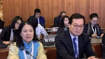 Vietnam active at 33rd conference of Red Cross & Red Crescent