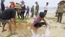 Bodies, individuals responsible for Formosa incident made public