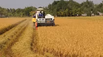 Universities, firms join hands in training high-quality agriculture workforce
