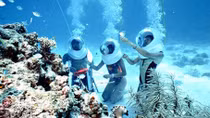 6 unique tours for upcoming holidays