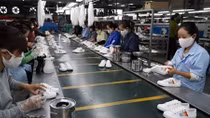 Vietnamese businesses look to further optimize opportunities from CPTPP