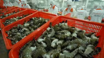 Vietnamese seafood exporters scammed in payment fraud schemes