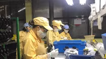 Hanoi: Over 68,000 labourers affected by COVID-19 pandemic