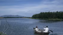 Efforts to promote Vietnam’s images at 70th Cannes