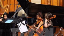 Vietnamese, German, Japanese artists to perform special concert