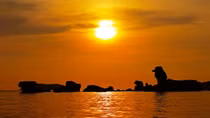 Chasing the sunset on Phu Quoc Island