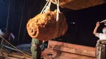 North-South trains continue as bomb removed